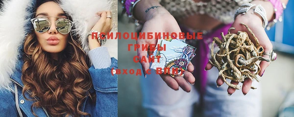 mdpv Алексин