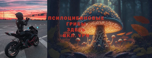 mdpv Алексин